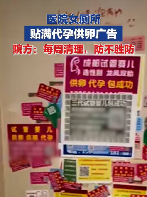 安全的供卵代孕